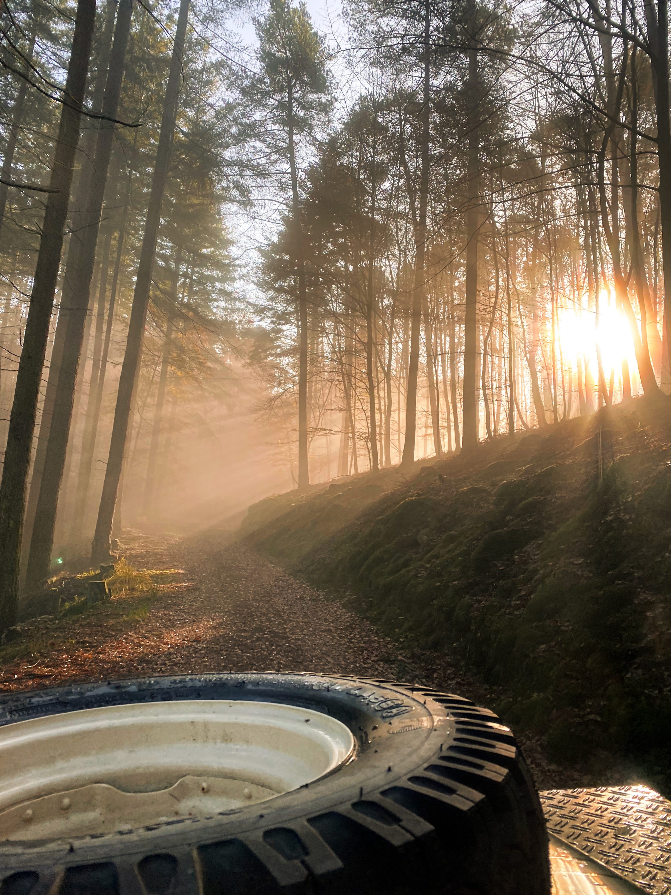 Das Bild zeigt einen wunderschönen Sonnenaufgang im Meulenwald